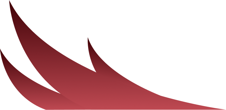 wave